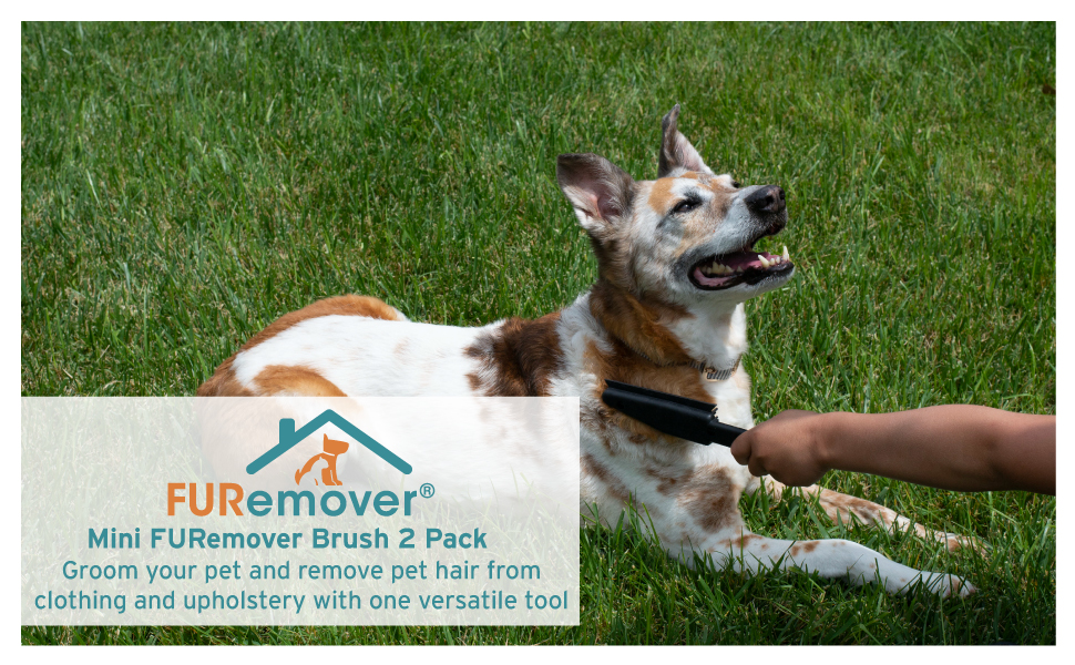 #FUremover #petbrush