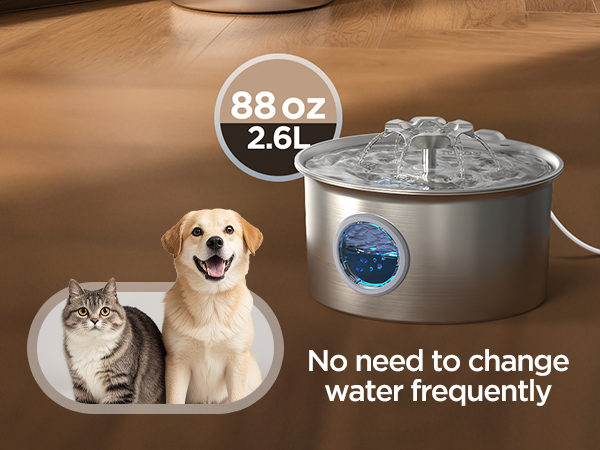 cat dog water fountain