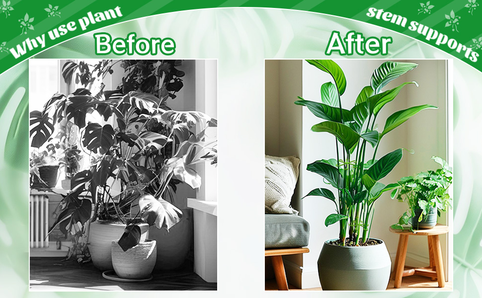 plant stem supports