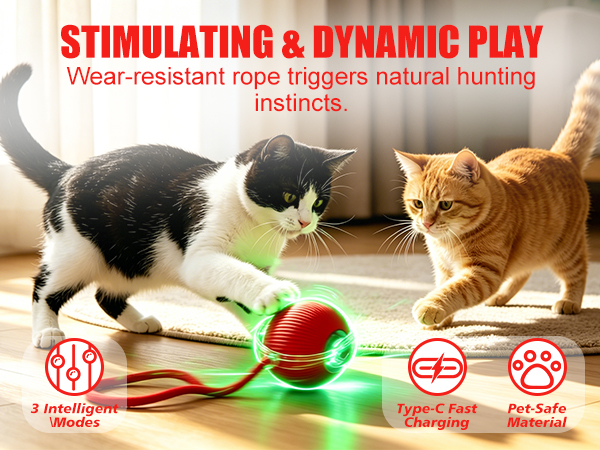 cat ball toys