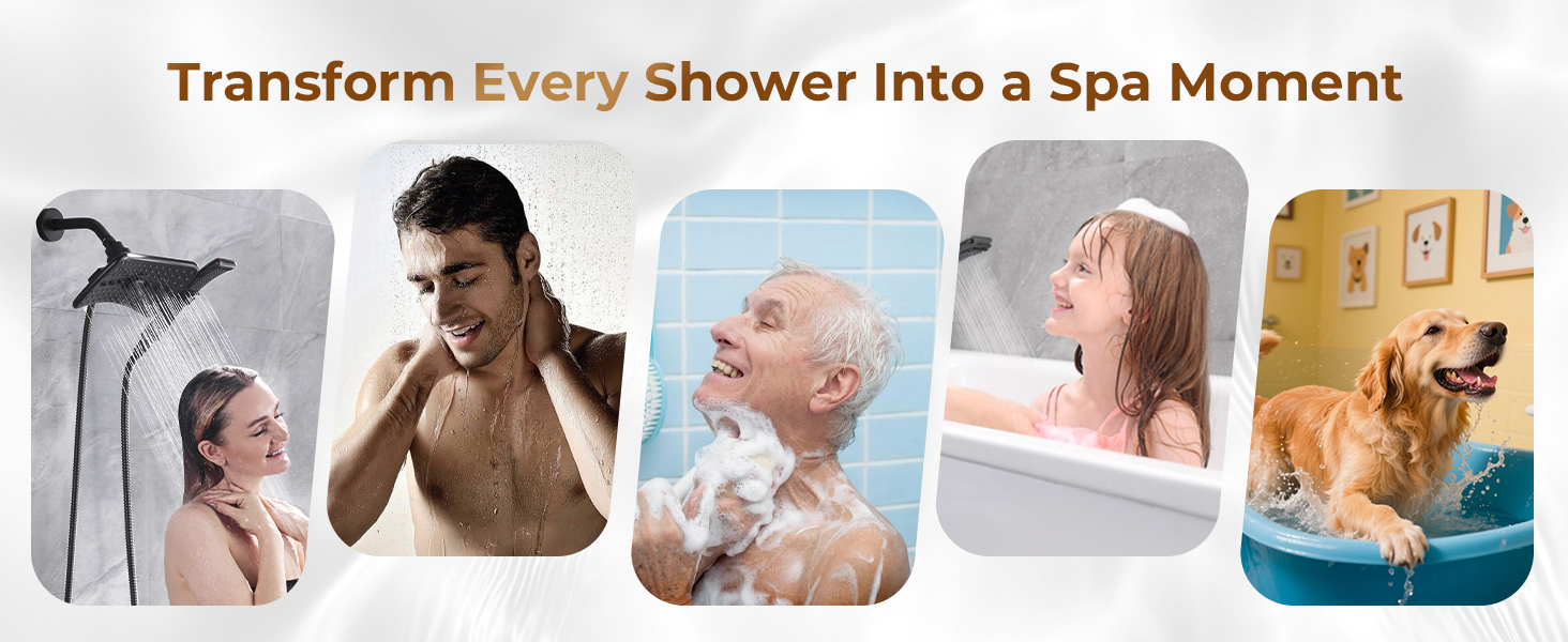 shower head with handheld