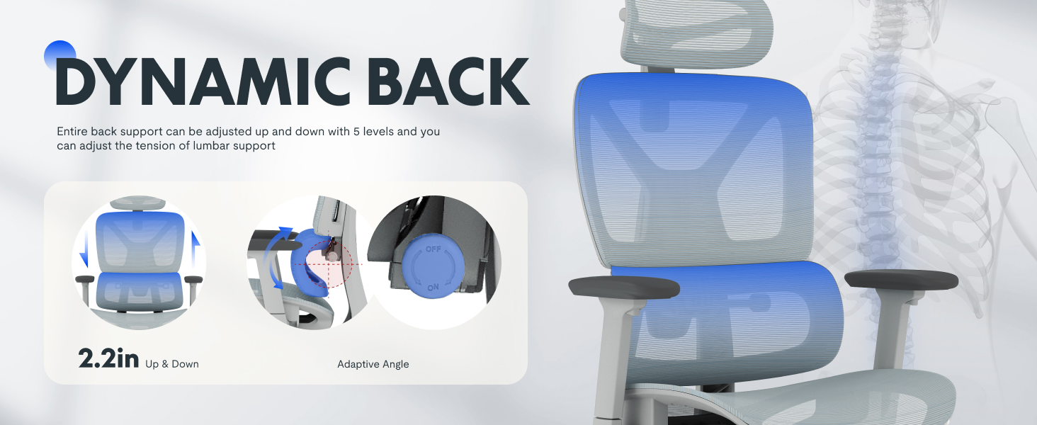 flexispot C7 lite task chair