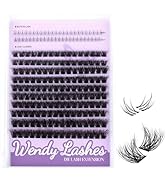WENDY LASHES DIY Lash Clusters with Bottom lashes 209PCS 3D-Effect Individual Lashes Clusters Eye...