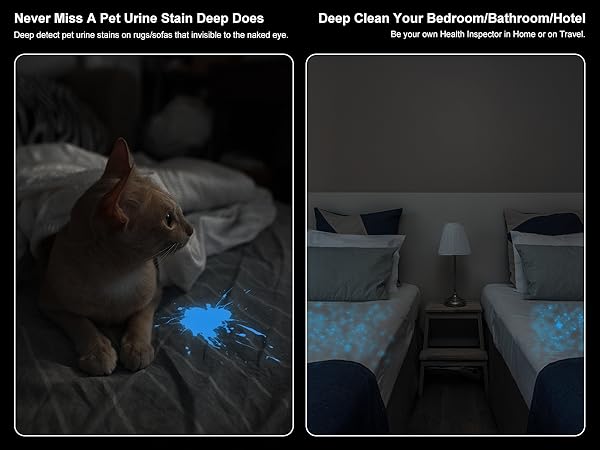 uv flashlight pet urine detector