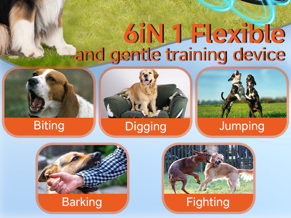 Dog Bark Deterrent Device