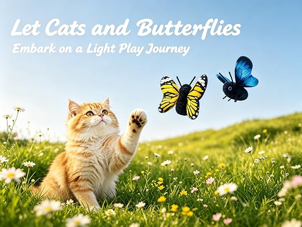 cat toys