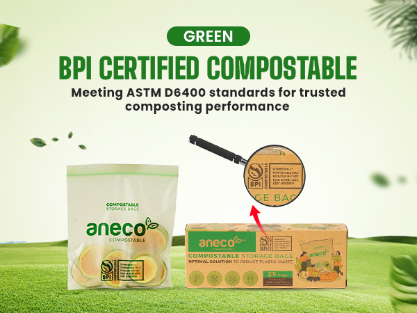 aneco