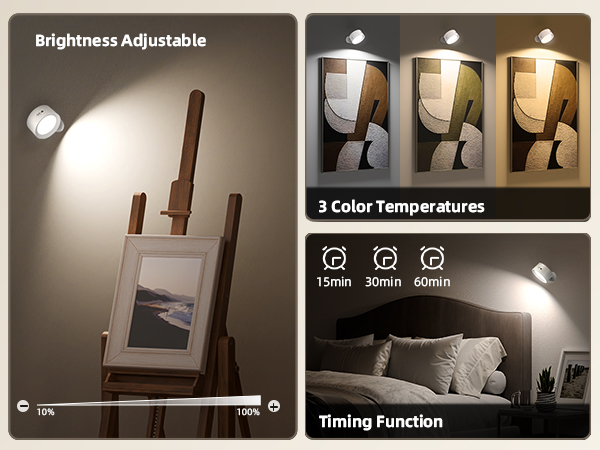 LED Wall Mounted Lights