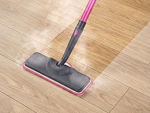 Schenley Steam Mop