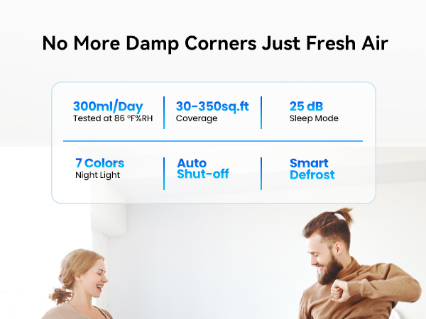 Dehumidifier Dehumidifiers for home