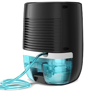 Dehumidifiers for Home