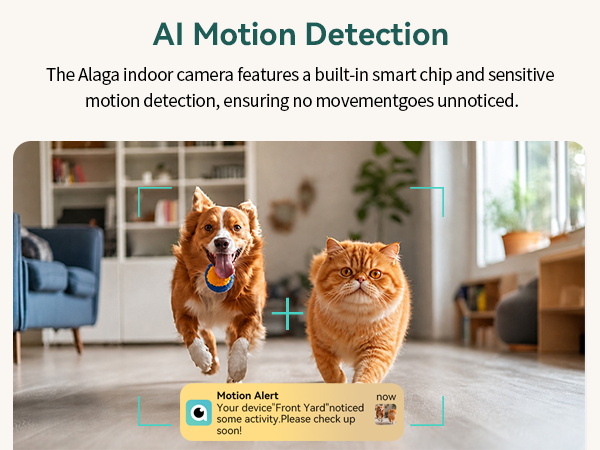indoor wifi camera