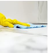 Lola Products Clean Wipe Cloths Handi Wipes Comparable 22&amp;#34; x 12&amp;#34; Reusable Washable Super Absorbent