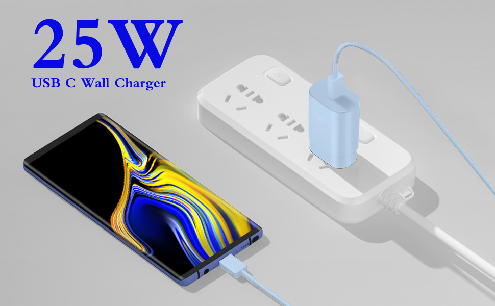 Samsung Charger blue