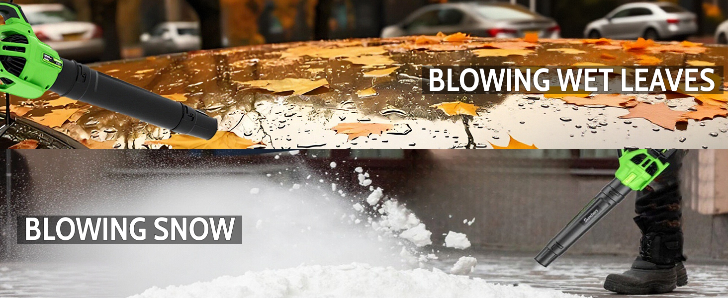 Leaf Blower Cordless