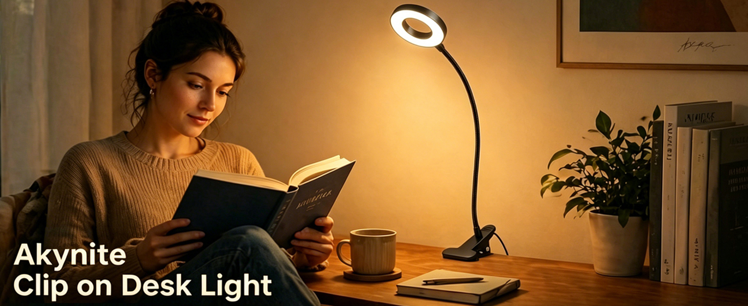 0828-CLIP ON LIGHT