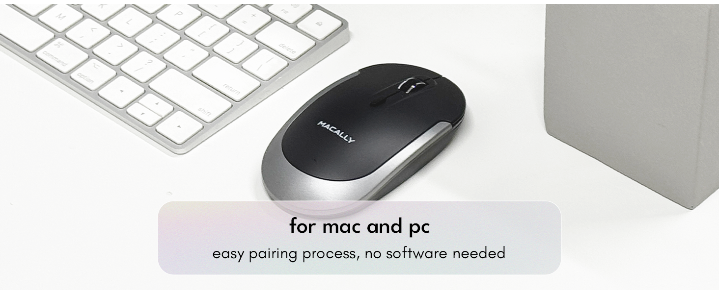 mouse