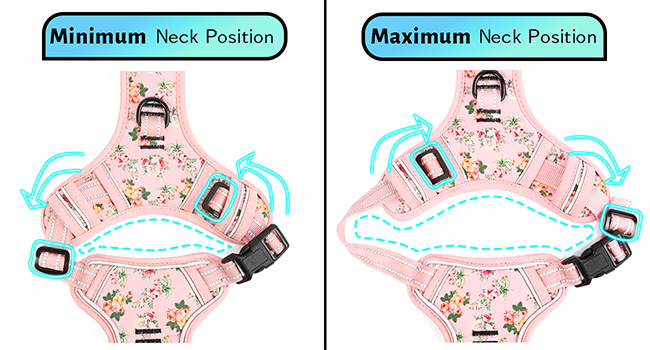 small dog harness