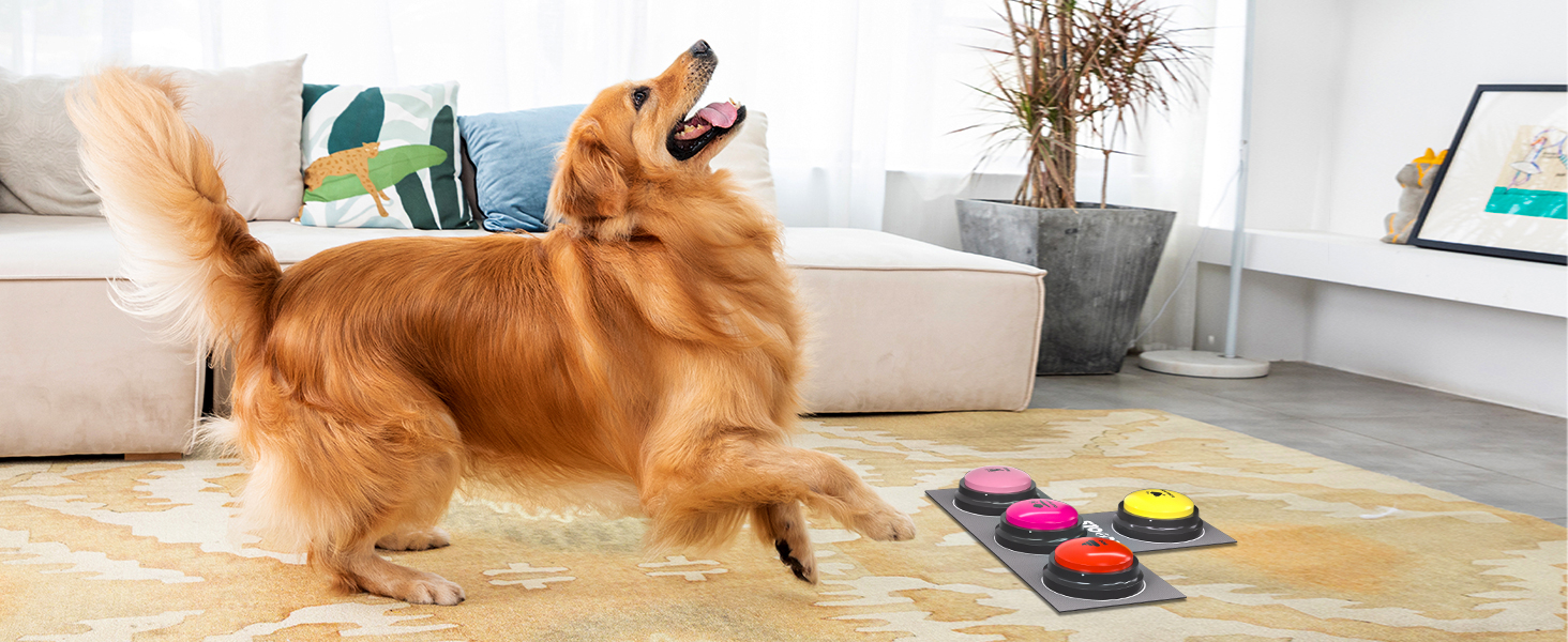 Pet Buzzer Training Buttons