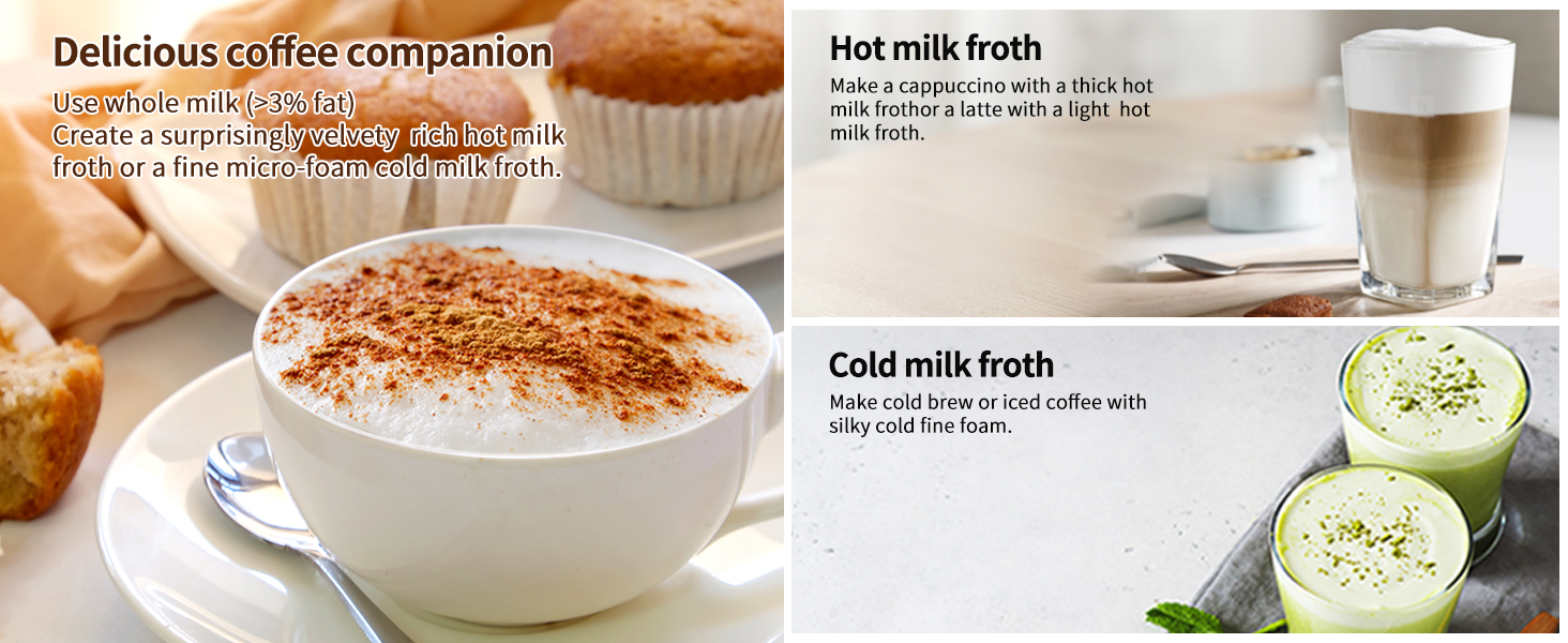 Make Hot &amp;amp; Cold Milk Froth
