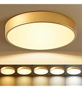 HLinghtnet Flush Mount Ceiling Light Gold 12 Inch LED Dimmable Ceiling Light 24W 5CCT(2700K-5000K...