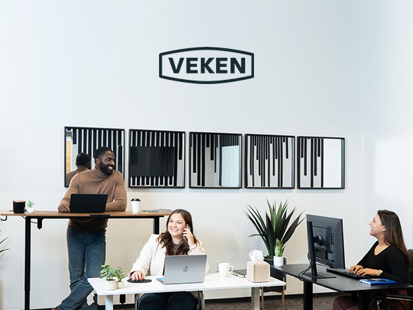 Electric Standing Desk, Height Adjustable Sit to Stand Up
