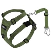 Dog Seat Belt for Vehicle