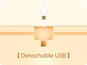 Detachable USB