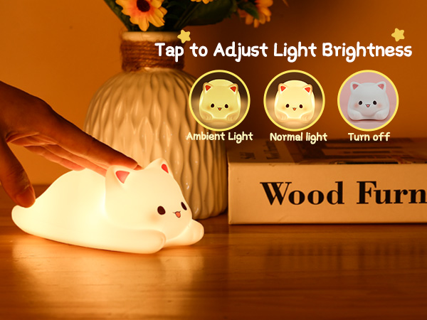2 Brightness Modes