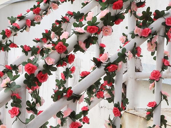 rose vines