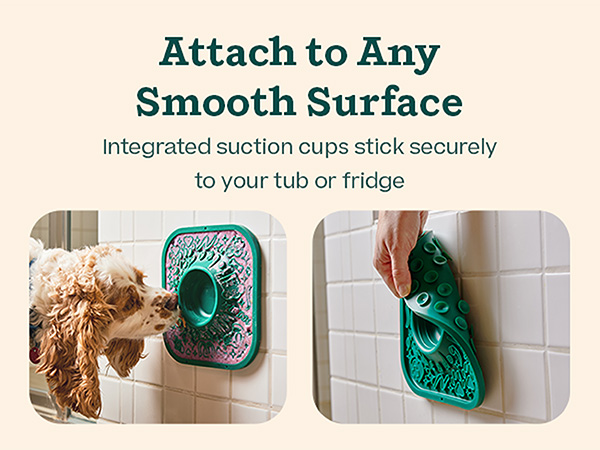 Attach to any smooth surface: Integrated suction cups stick securely to your tub or fridge.