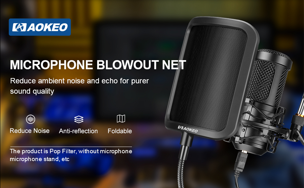 mic filter