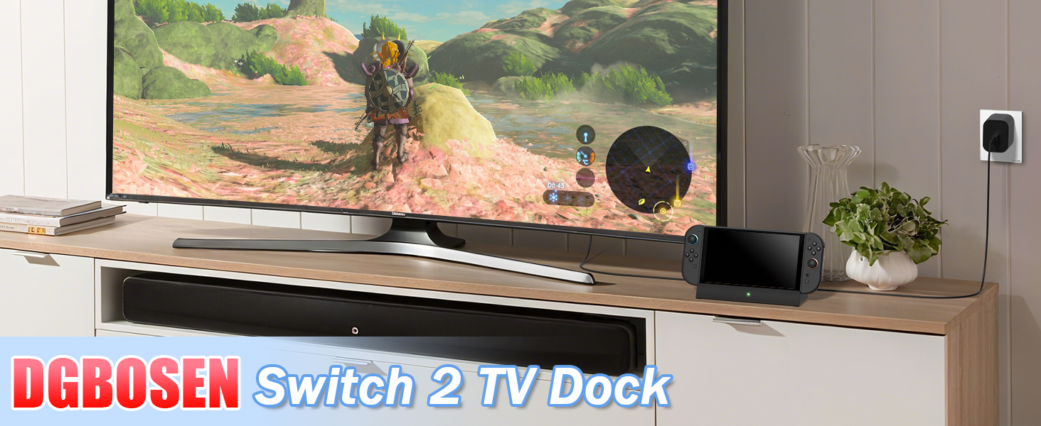 switch 2 dock