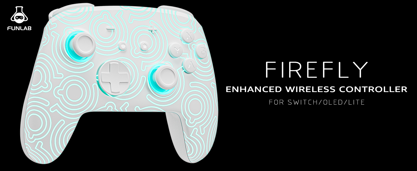 Nintendo switch pro controller