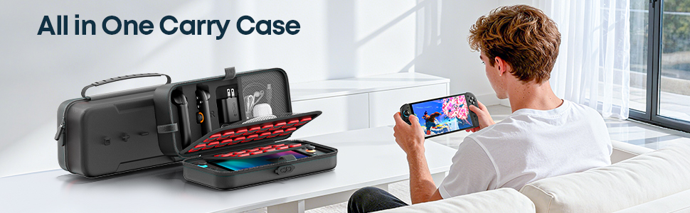slim switch 2 case