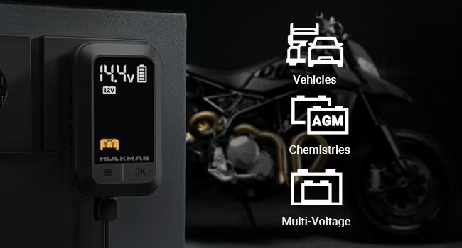 Smart Trickle Charger