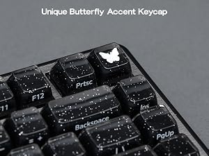 Lusterfly jelly kecaps set
