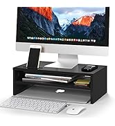 Monitor Stand Riser, 2 Tiers Wood Monitor Riser Stand with Storage Organizer, Desktop Ergonomic M...
