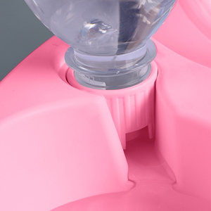 cat food water bowl double bowls automatic