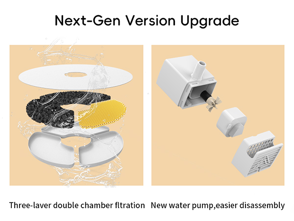 Next-Gen Version Upgrade