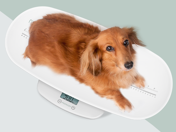 Momcozy Baby Scale for Toddler, Children, Pet, Adult