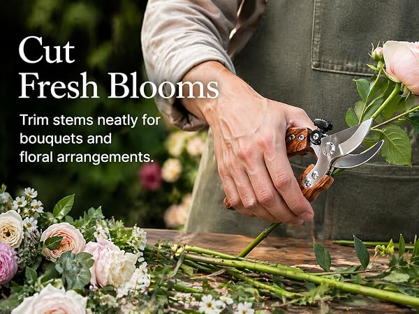 garden clearance deals