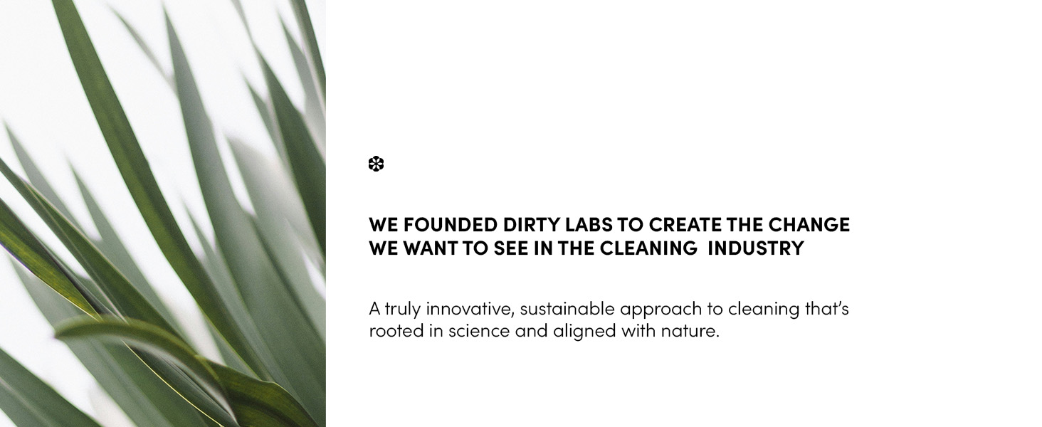 Dirty Labs