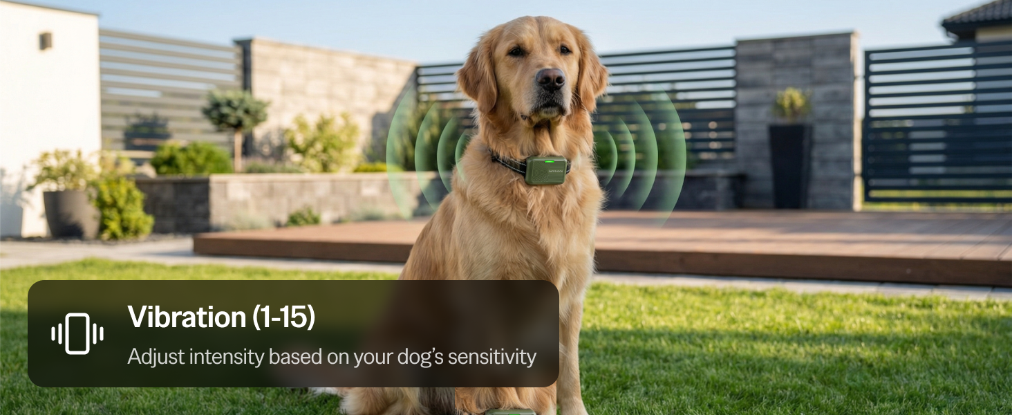 dogs collar para perros dog shock collar with remote large dog shock collar small dog collars puppy