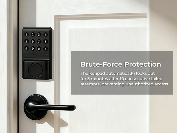 Brute-Force Protection