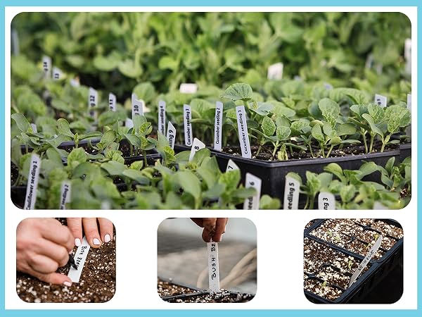 plant markers