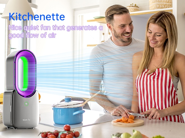 Rechargeable Desk Fan