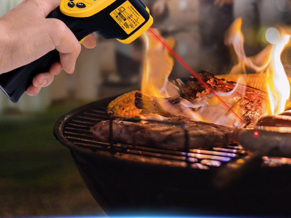 Versatile Temperature Companion