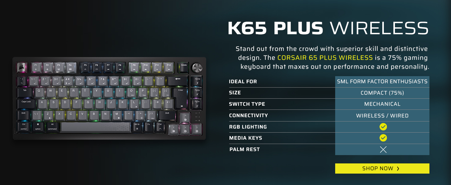 K70 CORE TKL Wireless 