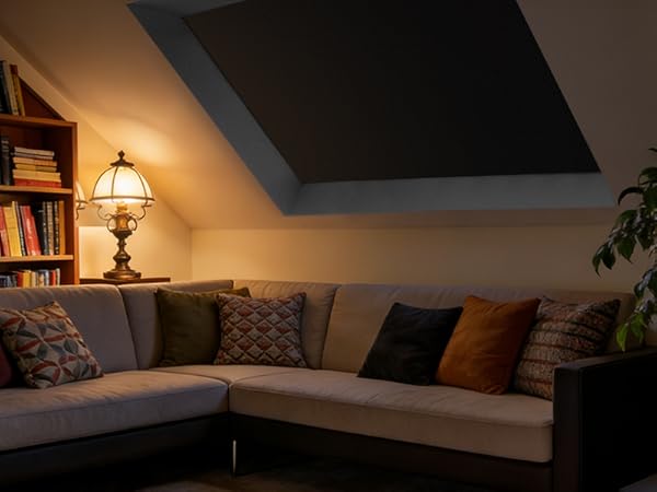Skylight